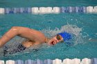 Women's Swimming & Diving  Wheaton College Women’s Swimming & Diving vs Mount Holyoke College. - Photo by Keith Nordstrom : Wheaton, Swimming & Diving